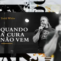 Imagem 6 da empresa AGÊNCIA DE PUBLICIDADE E PROPAGANDA CURITIBA ALVARES DESIGN Produtos e Servicos em Curitiba PR
