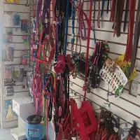 Imagem 12 da empresa CASA DO VETERINÁRIO BARÃO GERALDO | PET SHOP EM CAMPINAS Pet Shop em Campinas SP