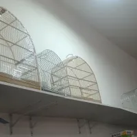 Imagem 18 da empresa CASA DO VETERINÁRIO BARÃO GERALDO | PET SHOP EM CAMPINAS Pet Shop em Campinas SP
