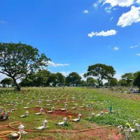 Imagem 7 da empresa CEMITERIO DO GAMA Cemitérios em Brasília DF