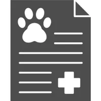 Imagem 3 da empresa DRA. GRACE LIMA - VETERINÁRIO EM DOMICÍLIO CAMPINAS Veterinários em Campinas SP