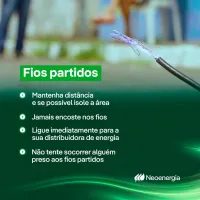 Imagem 4 da empresa ELEKTRO ELETRICIDADE E SERVIÇOS S A Transmissão de Energia Elétrica em Cordeirópolis SP