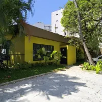 Imagem 6 da empresa ERICKA RAQUEL PAISAGISTA Paisagismo em Jaboatão Dos Guararapes PE