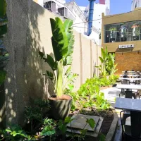 Imagem 7 da empresa ERICKA RAQUEL PAISAGISTA Paisagismo em Jaboatão Dos Guararapes PE