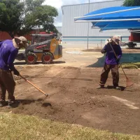Imagem 8 da empresa ERICKA RAQUEL PAISAGISTA Paisagismo em Jaboatão Dos Guararapes PE