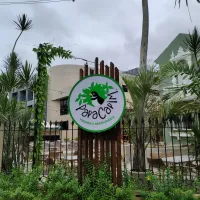 Imagem 9 da empresa ERICKA RAQUEL PAISAGISTA Paisagismo em Jaboatão Dos Guararapes PE