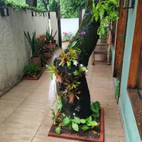 Imagem 11 da empresa ERICKA RAQUEL PAISAGISTA Paisagismo em Jaboatão Dos Guararapes PE