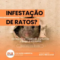 Imagem 1 da empresa FOX SAÚDE AMBIENTAL Dedetizadora em Recife PE