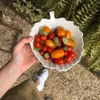 Imagem 7 da empresa PEPITA CAFÉ EM CAMPOS DO JORDÃO Cafeterias em Campos Do Jordão SP