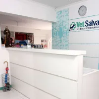 Imagem 4 da empresa VET SALVA CLINICA VETERINARIA Veterinários em Curitiba PR