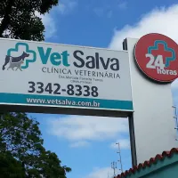 Imagem 6 da empresa VET SALVA CLINICA VETERINARIA Veterinários em Curitiba PR