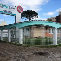 Imagem 7 da empresa VET SALVA CLINICA VETERINARIA Veterinários em Curitiba PR