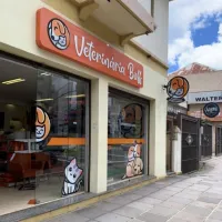 Imagem 3 da empresa VETERINÁRIA BOFF Clínicas Veterinárias em Caxias Do Sul RS