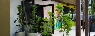 Imagem 5 da empresa ERICKA RAQUEL PAISAGISTA Paisagismo em Jaboatão Dos Guararapes PE