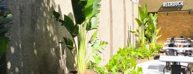 Imagem 7 da empresa ERICKA RAQUEL PAISAGISTA Paisagismo em Jaboatão Dos Guararapes PE