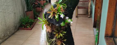 Imagem 11 da empresa ERICKA RAQUEL PAISAGISTA Paisagismo em Jaboatão Dos Guararapes PE