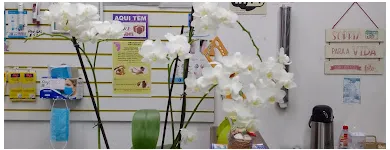 Imagem 2 da empresa PÉ E MANIA PODOLOGIA E ESTÉTICA - VILA CLEMENTINO Clínicas de Podologia em São Paulo SP