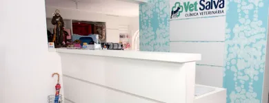 Imagem 4 da empresa VET SALVA CLINICA VETERINARIA Veterinários em Curitiba PR
