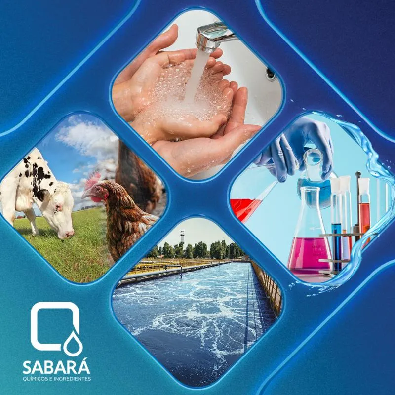Imagem 2 da empresa SABARÁ QUÍMICOS E INGREDIENTES S.A.