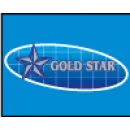 GOLD STAR TERCEIRIZAÇÃO Vigilância em Feira De Santana BA