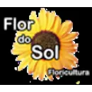 FLOR DO SOL FLORICULTURA  Floriculturas em São José SC