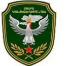 IBRIZ VIGILANCIA SEGURANÇA LTDA Segurança Patrimonial em São Paulo SP