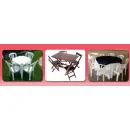 TELEPORTO ALUGUEL DE MESAS Festa e Evento - Serviço em Rio De Janeiro RJ