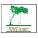 SIBIPIRUNA CRECHE E PRE ESCOLA Escolas Particulares em Brasília DF