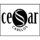 CESAR CABELEIREIROS Cabeleireiros e Institutos de Beleza em Vitória ES