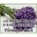FLORAIS DE BACH Medicina Alternativa em Campinas SP
