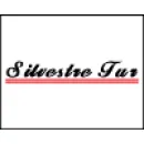SILVESTRE TUR Vans - Aluguel em Londrina PR