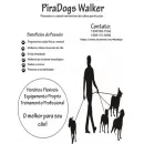 PIRADOGS WALKER Cães - Adestramento em Pirassununga SP