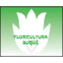 FLORICULTURA BUQUE Floriculturas em Marau RS