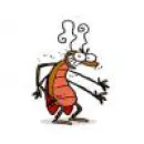 MANUTENÇÕES FALETTI Dedetização e Desratização em São José SC