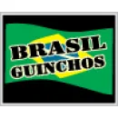 AUTO BRASIL GUINCHOS Guinchos em São Bernardo Do Campo SP