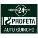 AUTOGUINCHO PROFETA Guinchos em Paulínia SP