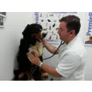 DOUGLAS ATENDIMENTO VETERINÁRIO A DOMICÍLIO  Veterinários - Médicos em Londrina PR