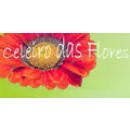 CELEIRO DAS  FLORES Floriculturas em São José SC