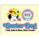 CANIL & HOTEL CENTER DOG Canis em Maringá PR