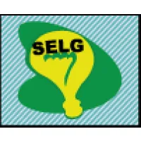 SELG SERVICOS ELETRICOS