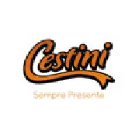 CESTINI PRESENTES