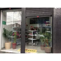 A FLORISTA - FLORES PERMANENTES