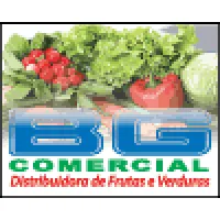 B G COMERCIO 