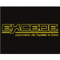 EXCEDE LAVANDERIA DE TAPETES