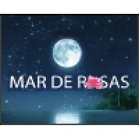 MAR DE ROSAS DECORACAO E ORGANIZACAO DE EVENTOS