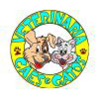 CLINICA VETERINARIA CAES E GATOS