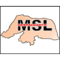 M S L DESPACHANTES