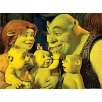 SHREK & FIONA - REFEIÇÕES CASEIRAS, DOCES E SALGADOS