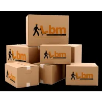 LBM TRANSPORTES MUDANÇAS E SERVIÇOS