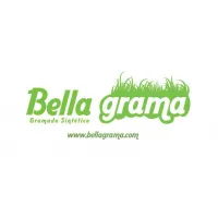 BELLA GRAMA - GRAMA SINTÉTICA